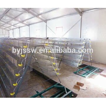 Cheap 400 Quails Automatic Quail Cage A Type for Hot Sale